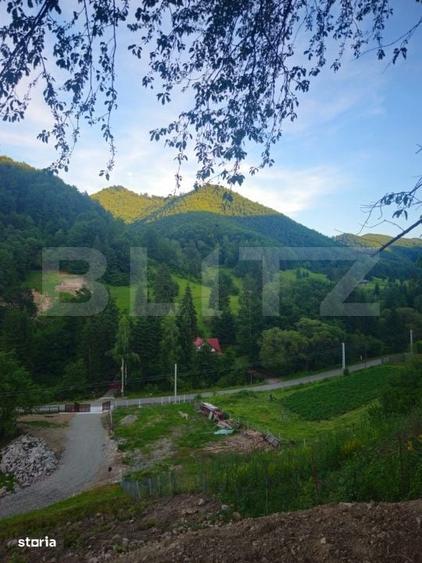 Teren de vanzare, 10.000 mp - Bistrita Bargaului, zona turistica - 6