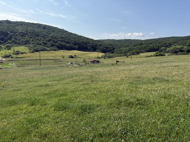 Teren Construcții intravilan de 5800 mp, în Dezmir
