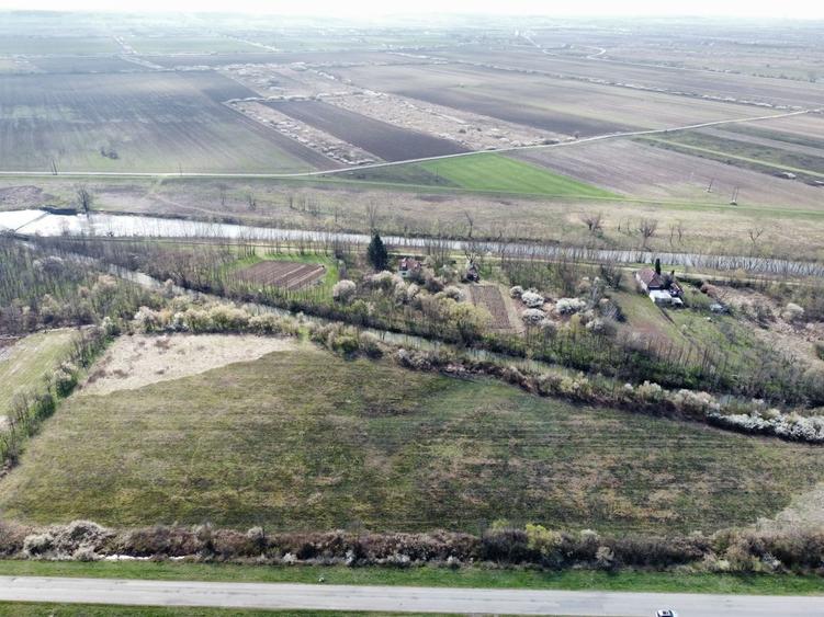 Teren agricol intravilan de 22500 mp, în Balinț