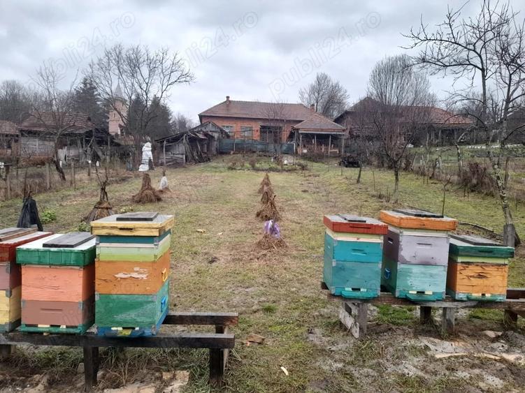 Casă cu Teren 1400 Mp în Feniș