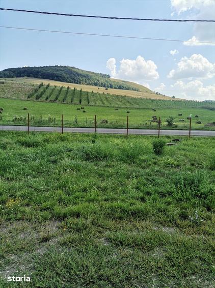 Teren de 600 mp, în Ernei