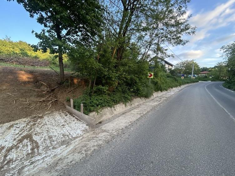 Teren de 600 mp, în Bârnova