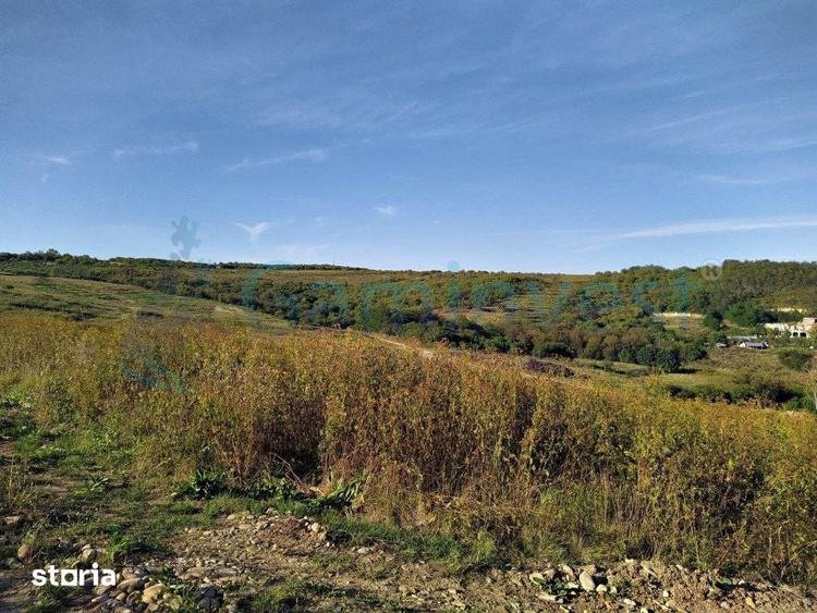Teren de 11050 mp, în Paleu