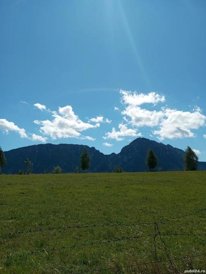 Teren în Poiana Mărului