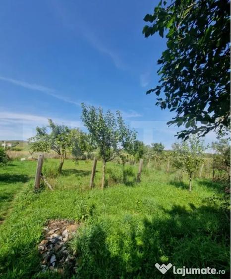 Casă cu 2 camere cu Teren 1600 Mp în Uriu