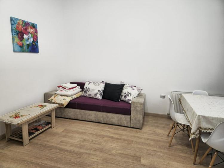 Apartament cu 2 camere, 55mp, la curte comuna, in zona Centr - 9
