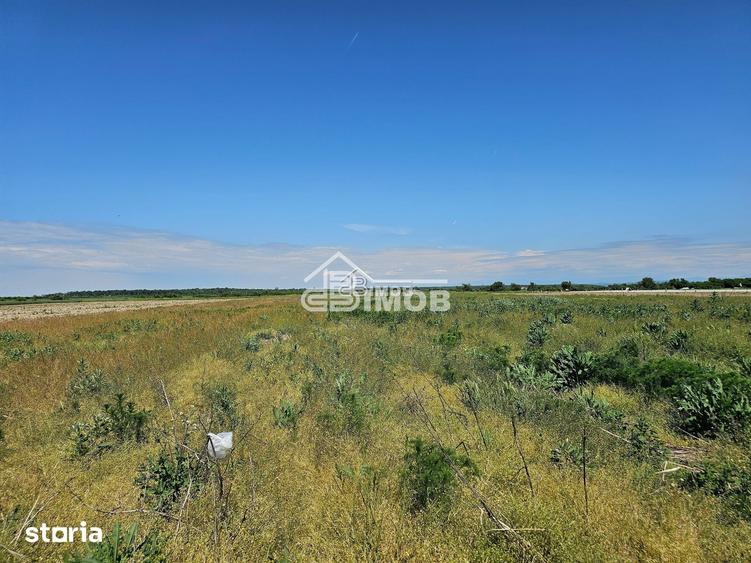 Teren de 10900 mp, în Băleni