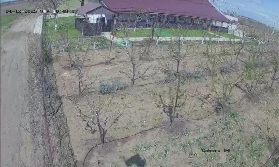Spațiu comercial, de 500 mp, în Desa