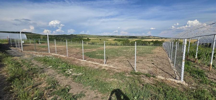 Teren de 2496 mp, în Brădești