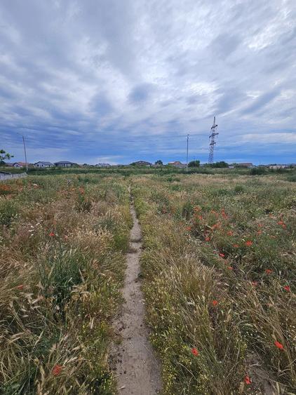 Teren de 1500 mp, în Valu lui Traian