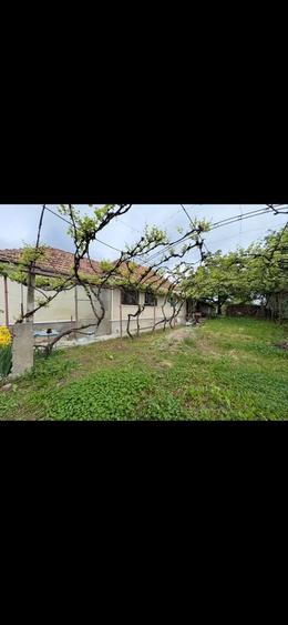 Casă cu 4 camere în Vadu Crișului