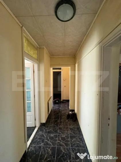 Apartament cu 2 camere decomandat în Teiu
