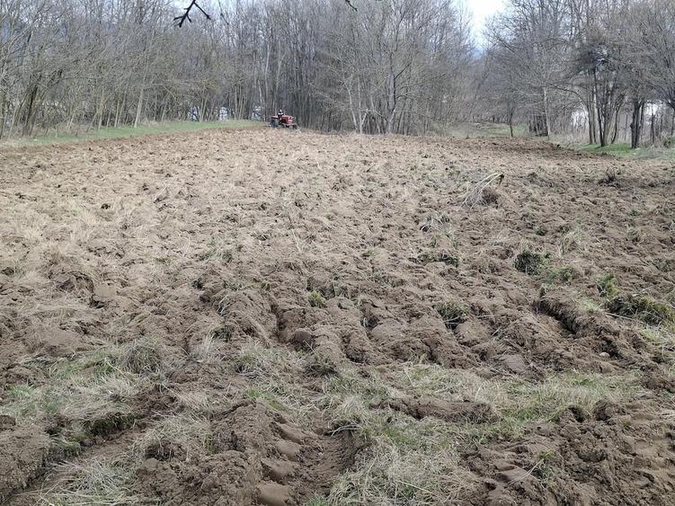 Teren de 3800 mp, în Fedeleșoiu