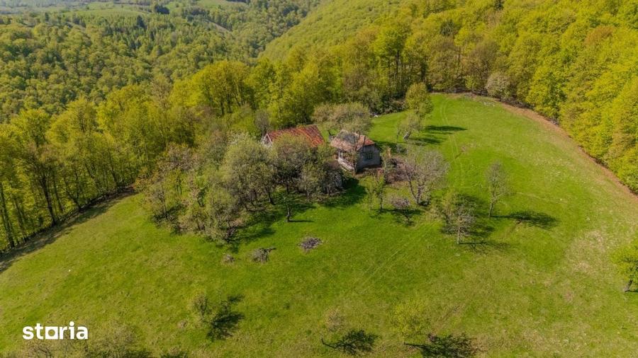 Teren de 21537 mp, în Noua
