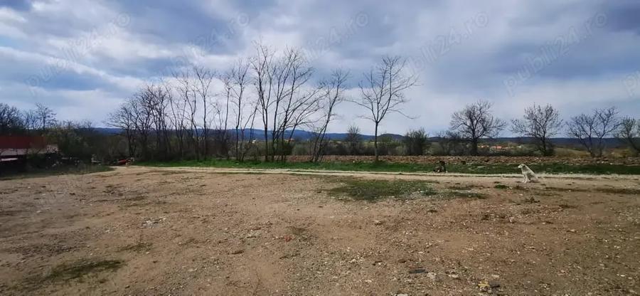 Teren de 26500 mp, în Calea Caransebeșului