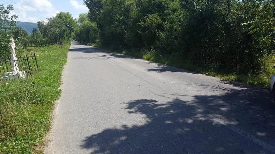 Teren de 5500 mp, în Borlova