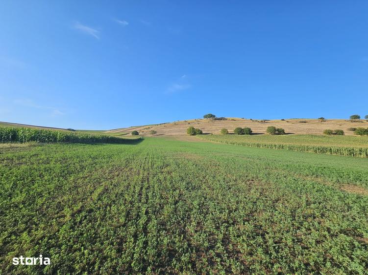 Casă cu 4 camere cu Teren 33000 Mp în Valea