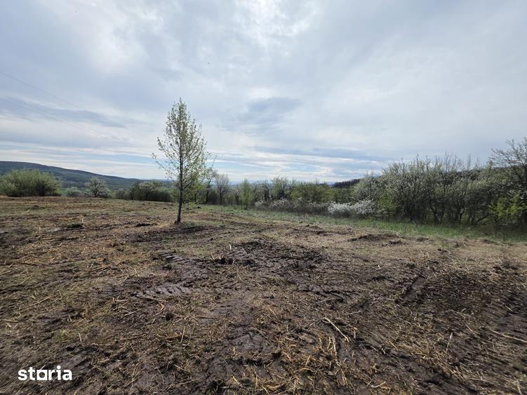 De vanzare teren intravilan Barsau, jud. Hunedoara - 15