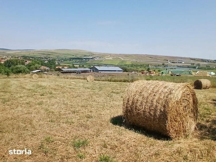 Casa in Comsesti cu teren intravilan 1800mp, acces bun - 9