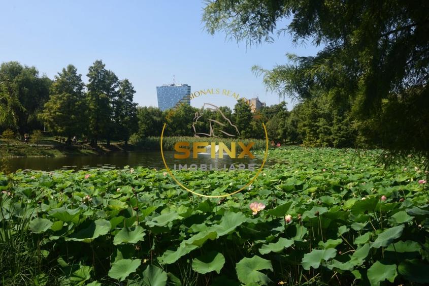 Parcul Circului, vanzare vila individuala, 2014, 5 camere, curte, terasa - 3