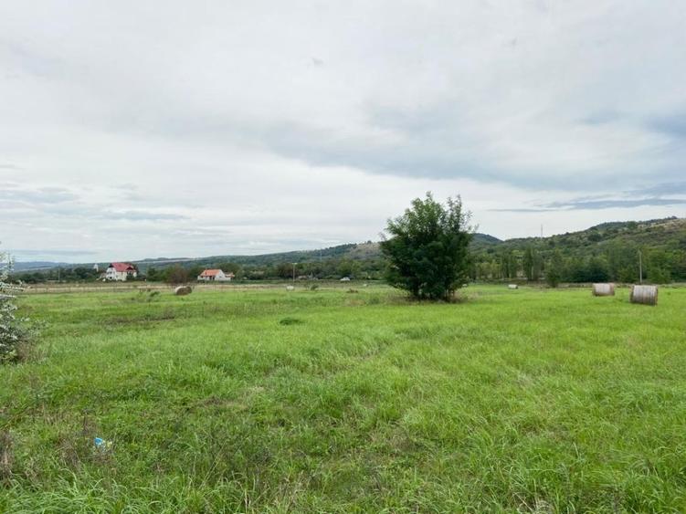 Teren agricol extravilan de 2950 mp, în Măcești