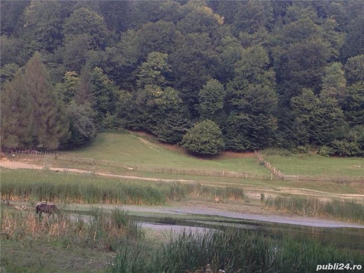 Teren de 6000 mp, în Central