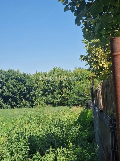 Teren intravilan de vanzare Delta Dunarii - Patlageanca