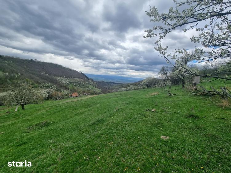 Teren de 7000 mp, în Cetate