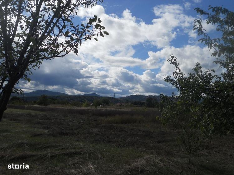 Casă cu 3 camere în Central