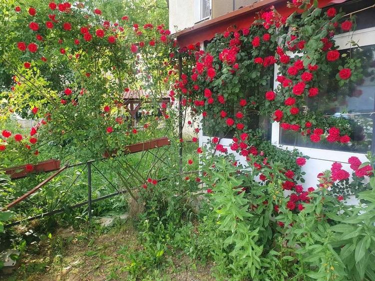 Garsonieră decomandată în Diamant