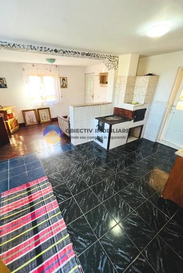 Casă cu 5 camere cu Teren 4262 Mp în Borlești