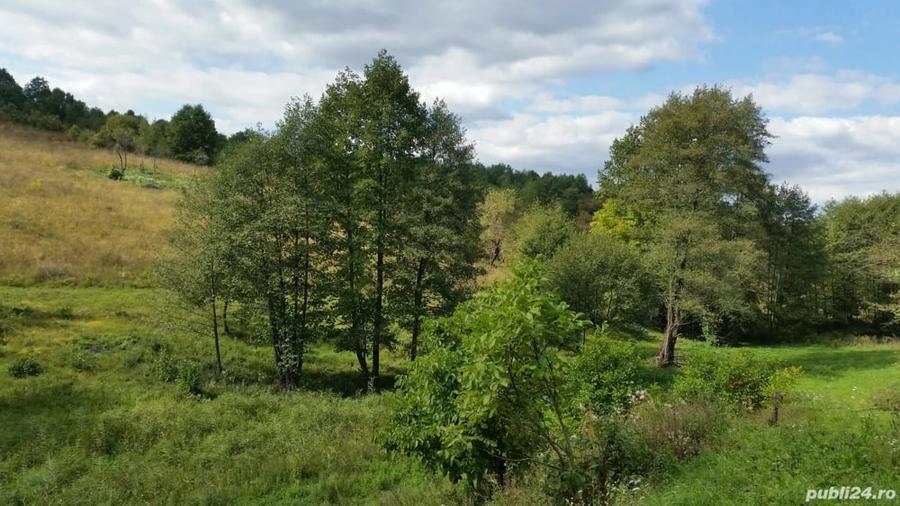 Teren de 8600 mp, în Central