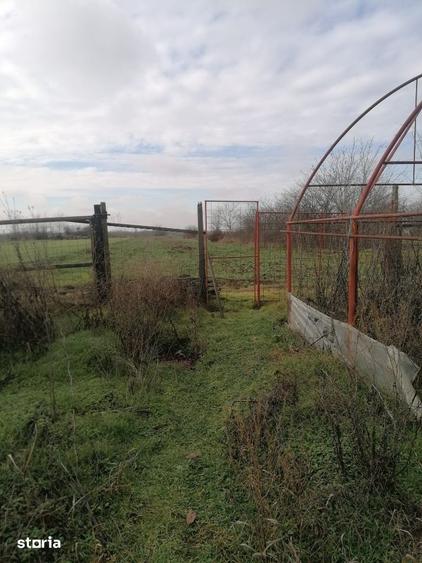 Casă cu 4 camere cu Teren 3800 Mp în Daia