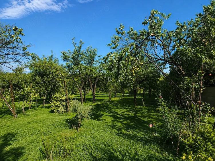 Proprietate 44 ari, casa + livada + vie acces pe 2 laturi