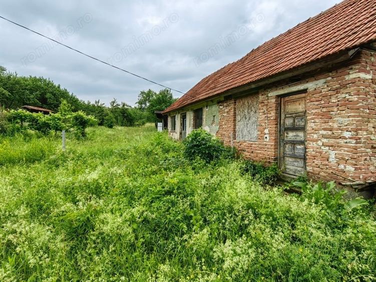 Teren intravilan 18.645 mp in Satul Santamaria de Piatra (sat apartinator Orasului Calan) Jud. HD. - 3