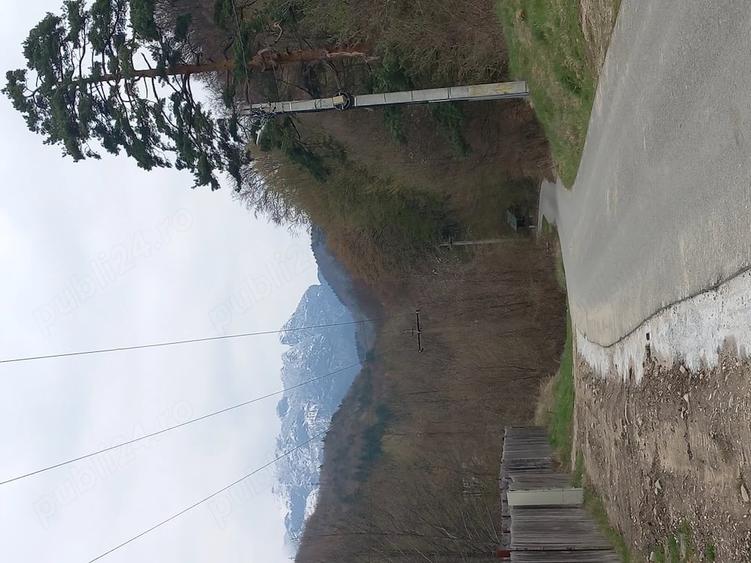 Casă cu 6 camere cu Teren 250 Mp în Central