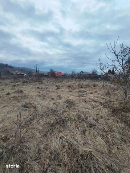 Vand sau schimb teren intravilan, 2700 mp, in Cornesti - 6