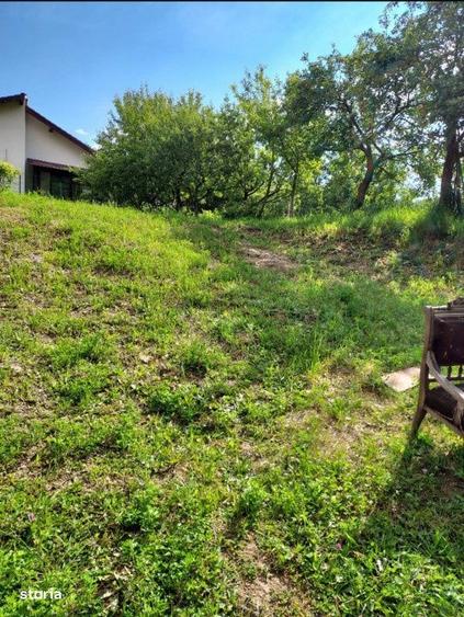 Teren 1.195 mp zona Faget - 5
