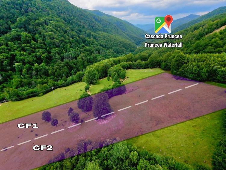 Teren Construcții intravilan de 7500 mp, în Cașoca