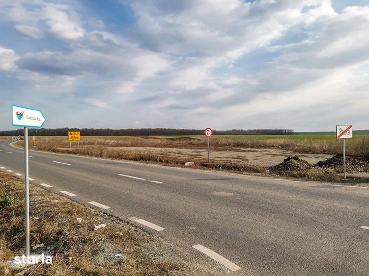 Teren de 13368 mp, în Cernica