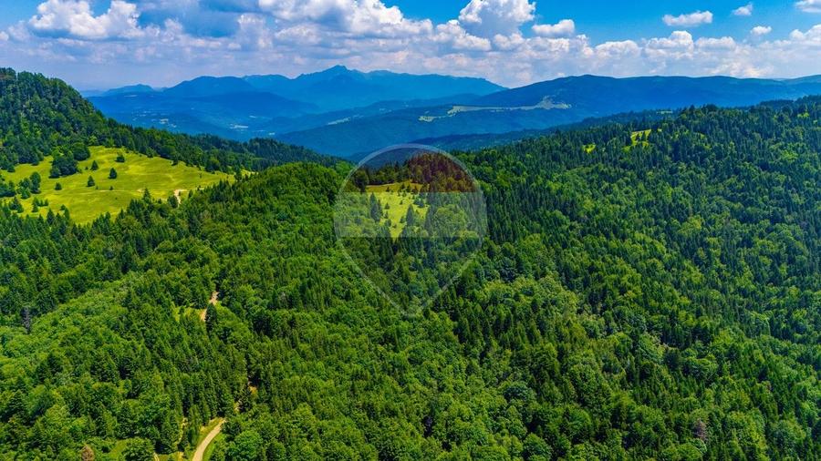 Teren agricol extravilan de 7000 mp, în Gârcini