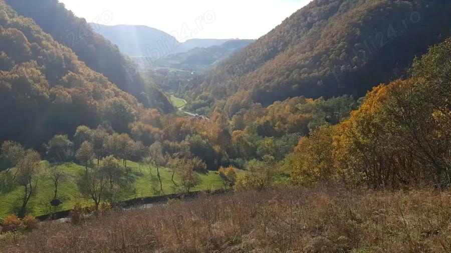 Teren de 8500 mp, în Hărțăgani
