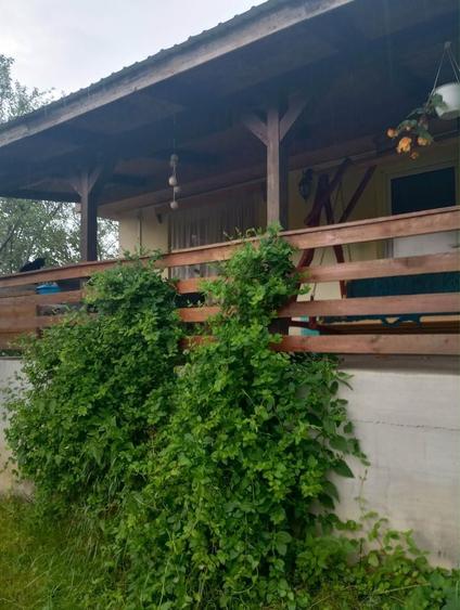 Casă cu 3 camere în Morlaca
