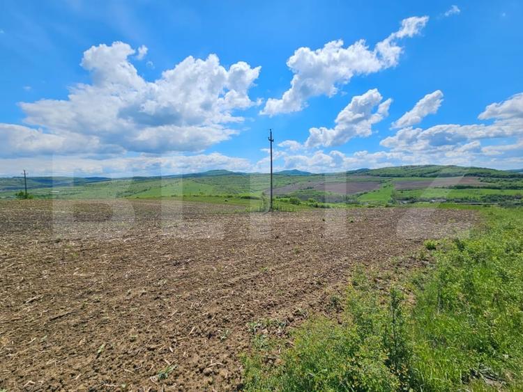 Teren agricol extravilan de 5800 mp, în Periferie