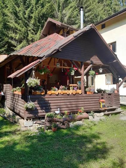 Casă cu 21 camere cu Teren 4050 Mp în Sătic