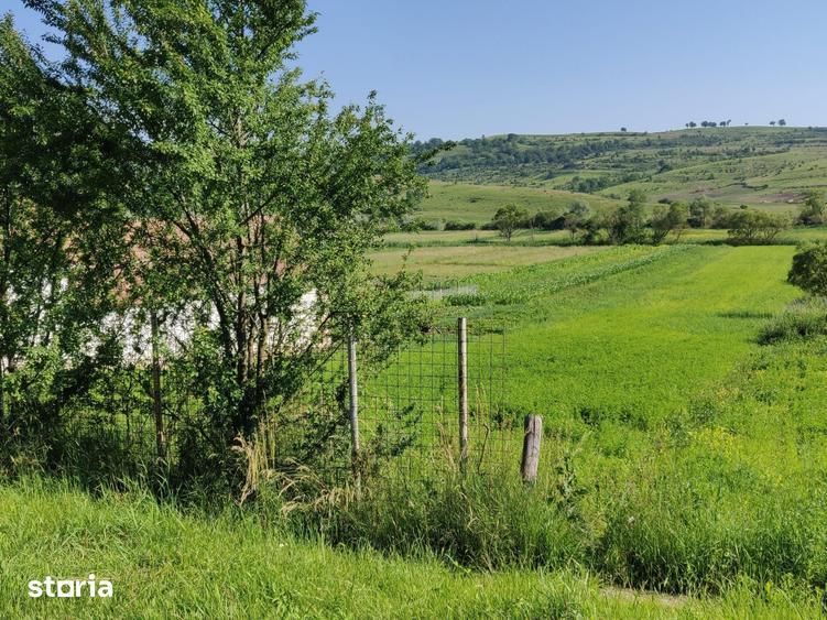 Teren de 4700 mp, în Merghindeal