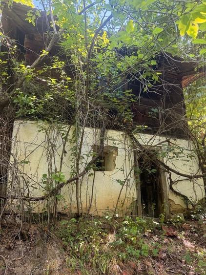 Casă în Brusturi