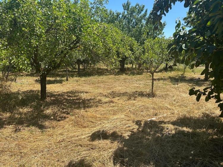 Casă cu 4 camere în Drăgoești