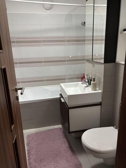 Apartament cu 3 camere decomandat, mobilat în Brazda lui Novac