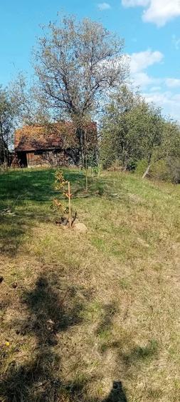 Teren de 9730 mp, în Țebea